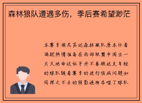 森林狼队遭遇多伤，季后赛希望渺茫
